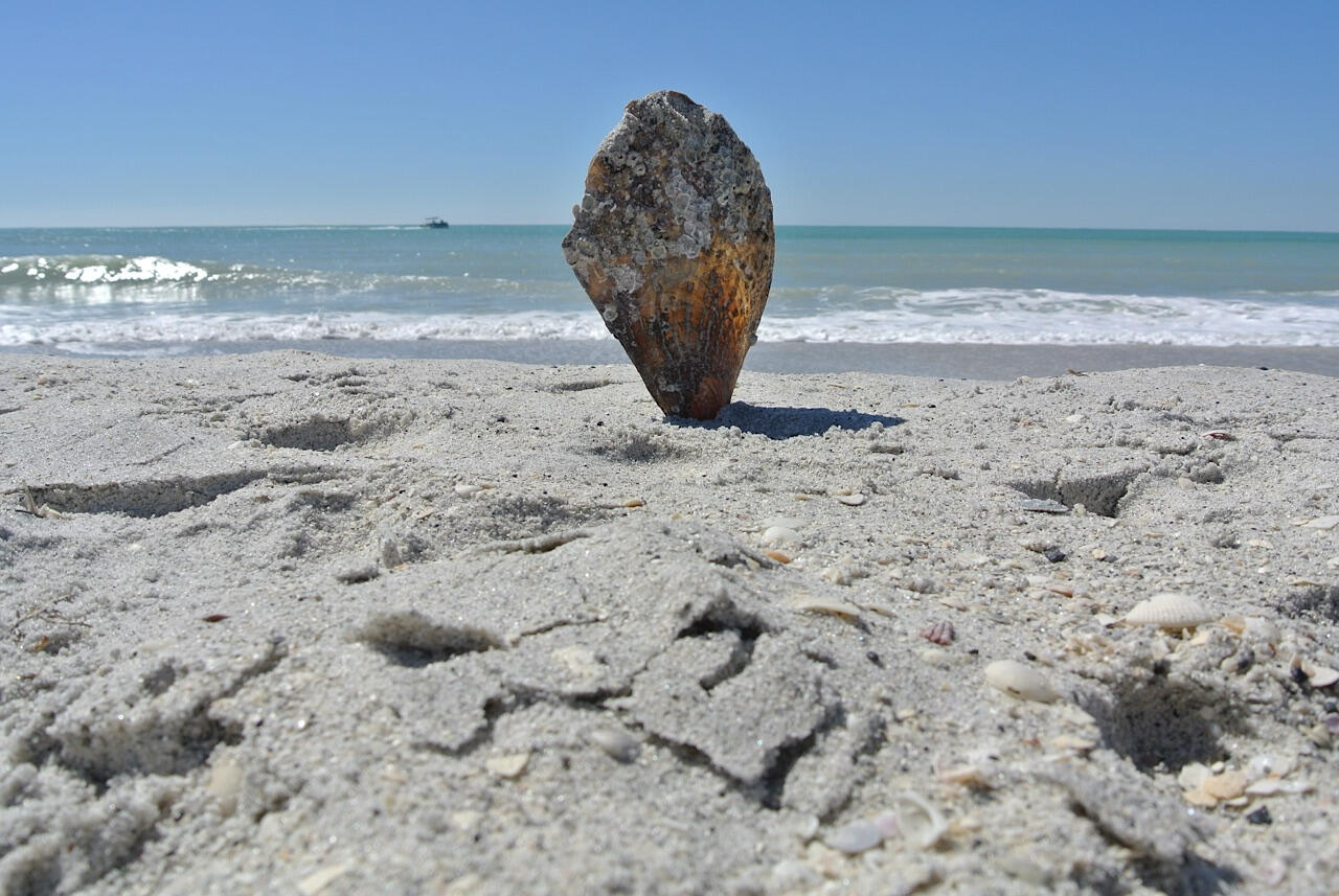 03RVingIT-Boca Grande Florida
